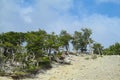 Patagonia windy flatlands Royalty Free Stock Photo